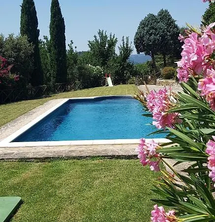 In Campagna Con Piscina A Διαμέρισμα Τόντι